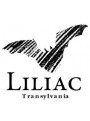 Liliac Chardonnay 2022 | Liliac Winery | Lechinta